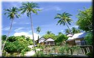 Таиланд, курорт, Самуи, Пхукет, краби, туризм, бронирование, тао, паттайя, самет, чанг, пхукет, Ланта, Бангкок, экзотика, тропики, остров, пальма, пляж, рай, сиам, отель